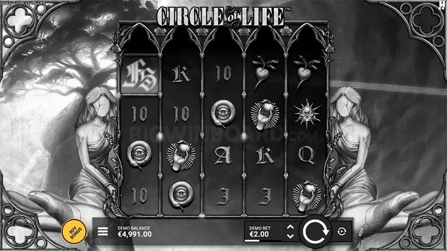 Live Casino Tips Article